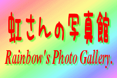 虹さんの写真館 [Rainbow's Photo Gallery.]